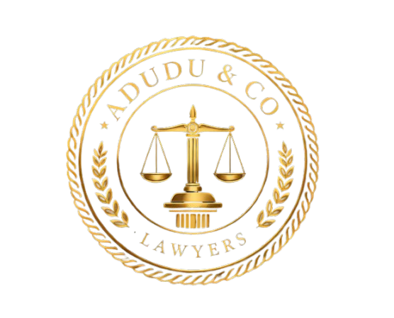 Adudu & Co logo